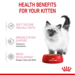 ROYAL CANIN® Kitten In Gravy Wet Food -Pet Life Shop ahtuxeihpartty3ql2rj