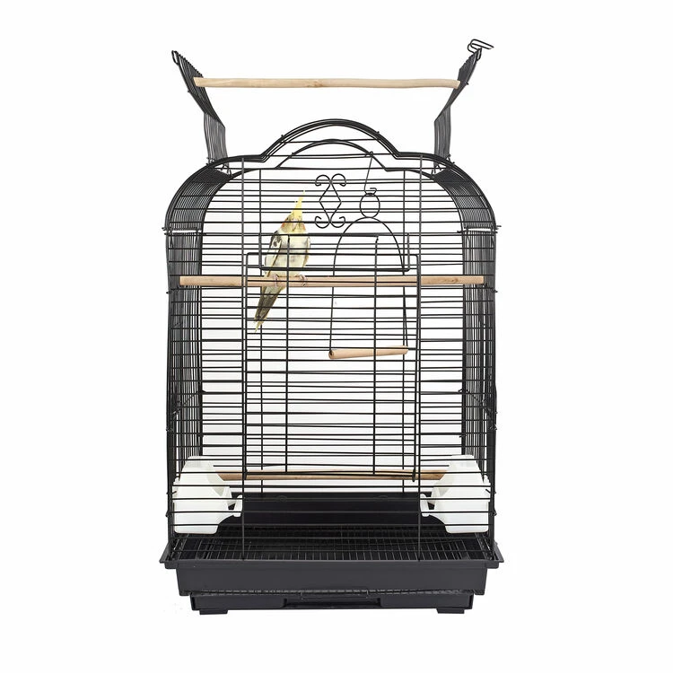 Sky Pet Products Fun Arizona Cockatiel Bird Cage 3 Sky Pet Products Fun Arizona Cockatiel Bird Cage
