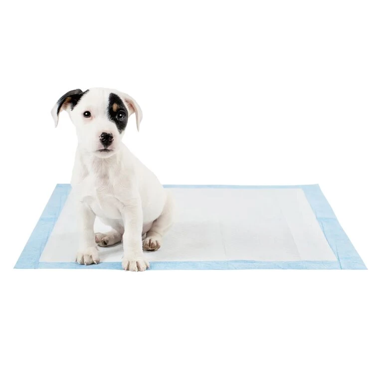 Lords & Labradors Puppy Training Pads 4 Lords & Labradors Puppy Training Pads - Image 2