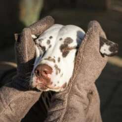 Lords & Labradors Bamboo Dog Drying Mits Mole -Pet Life Shop brown mitt 001