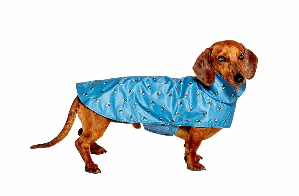 FatFace Spotty Bees Dog Raincoat 3 FatFace Spotty Bees Dog Raincoat