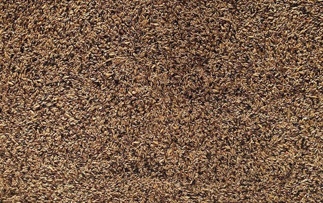 Johnston & Jeff Canary Food Light No Rape Seed 20kg 4 Johnston & Jeff Canary Food Light No Rape Seed 20kg - Image 2