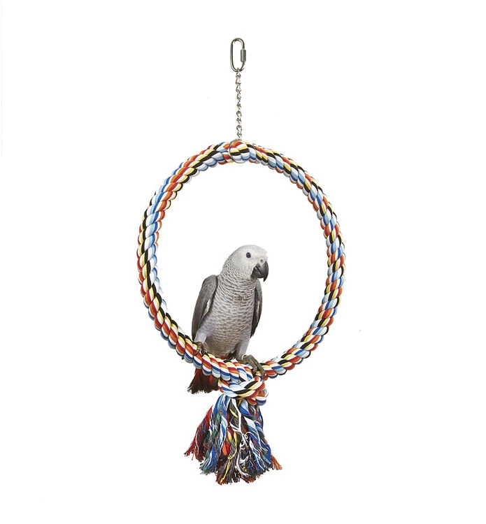 Sky Pet Products Coloured Ring Bird Toy 3 Sky Pet Products Coloured Ring Bird Toy