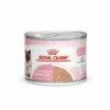 ROYAL CANIN® Mother And Babycat Adult And Kitten Wet Food -Pet Life Shop ctlzjqzhkbbkjwauxd3u