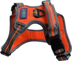 Hem & Boo Sports Harness Orange