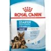ROYAL CANIN® Maxi Large Breed Starter Mother & Babydog Adult And Puppy Dry Food -Pet Life Shop diueebngdcloab2wmbg0