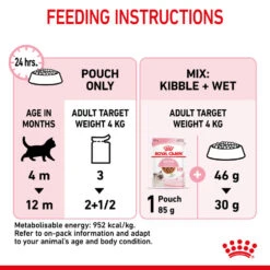 ROYAL CANIN® Kitten In Gravy Wet Food -Pet Life Shop emq3mwmx4ivpji4hnyy0