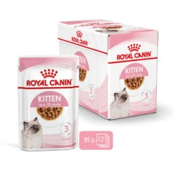 ROYAL CANIN® Kitten In Gravy Wet Food -Pet Life Shop fbafo67vfkzgpcf8qf3t
