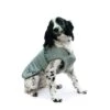 Muddy Paws Ultimate Reflective Dog Coat 2 Muddy Paws Ultimate Reflective Dog Coat -Pet Life Shop fm 2021 09 10 07 32 17 32626 images