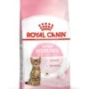 ROYAL CANIN® Kitten Sterilised Dry Food -Pet Life Shop fwdqfvnrkzuzzy0py4bn