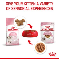 ROYAL CANIN® Kitten In Gravy Wet Food -Pet Life Shop hsrqi7n1a31jnwcer9x7