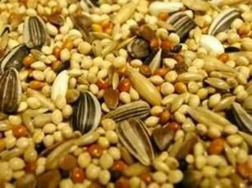 Willsbridge Cockatiel Mix Bird Food 20kg 4 Willsbridge Cockatiel Mix Bird Food 20kg - Image 2