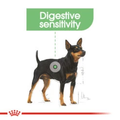 ROYAL CANIN® Mini Digestive Care Adult Dry Dog Food 15 ROYAL CANIN® Mini Digestive Care Adult Dry Dog Food -Pet Life Shop iteudwagturp1bj7lhlh