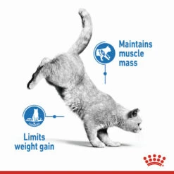 ROYAL CANIN® Light Weight Care Adult Dry Cat Food -Pet Life Shop lope0judqaencngvu9op