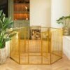 Lords & Labradors 6 Panel Play Pen 80cm Gold -Pet Life Shop lords and labradors gold play pen lifestyle