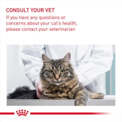 ROYAL CANIN® Light Weight Care Adult Dry Cat Food -Pet Life Shop mkawaklaiteu3qlaeddq