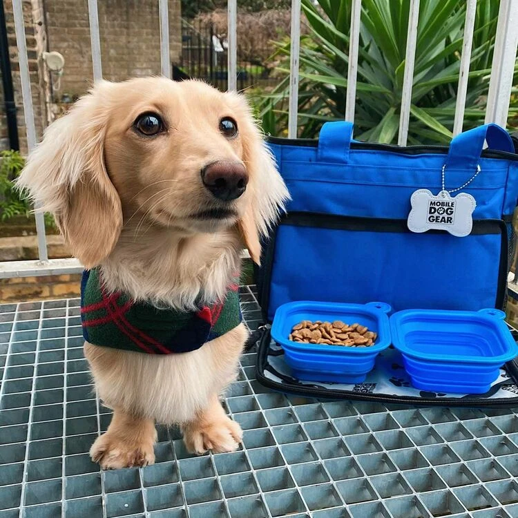Mobile Dog Gear Weekend Away Bag Blue 4 Mobile Dog Gear Weekend Away Bag Blue - Image 2