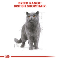 ROYAL CANIN® British Shorthair In Gravy Adult Wet Cat Food -Pet Life Shop n4yjsix4arlodjtltnny