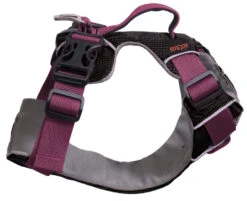 Sotnos Travel Safety & Walking Harness Dusty Pink