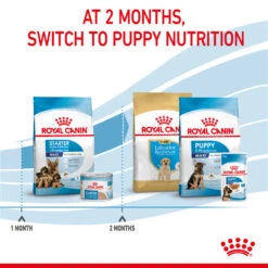 ROYAL CANIN® Maxi Large Breed Starter Mother & Babydog Adult And Puppy Dry Food 20 ROYAL CANIN® Maxi Large Breed Starter Mother & Babydog Adult And Puppy Dry Food -Pet Life Shop nqzzdwmrzv7hokyki8dt
