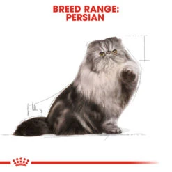 ROYAL CANIN® Persian In Gravy Adult Wet Cat Food -Pet Life Shop owzkyanogigt2gtklmmk