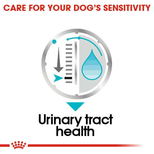 ROYAL CANIN® Urinary Care Wet Pouches Adult Dog Food 7 ROYAL CANIN® Urinary Care Wet Pouches Adult Dog Food - Image 5