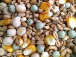 Johnston & Jeff Pigeon Four Season Mix 20kg