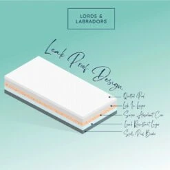 Lords & Labradors Puppy Training Pads 7 Lords & Labradors Puppy Training Pads -Pet Life Shop puppy pads illustration 01 7b18e93a a569 4c55 806e 5d93914b24ee 1920x.progressive