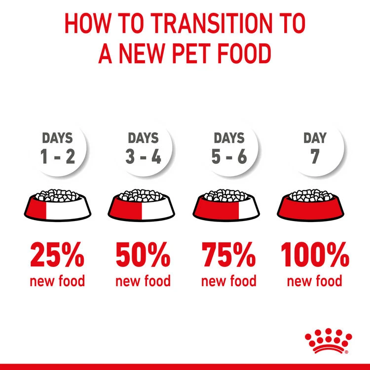 ROYAL CANIN® Kitten Sterilised Dry Food 11 ROYAL CANIN® Kitten Sterilised Dry Food - Image 9