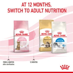 ROYAL CANIN® Kitten Sterilised Dry Food 16 ROYAL CANIN® Kitten Sterilised Dry Food -Pet Life Shop qddivhypfdhwy5dc8qcj