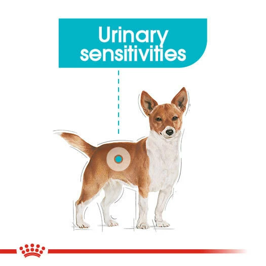 ROYAL CANIN® Urinary Care Wet Pouches Adult Dog Food 5 ROYAL CANIN® Urinary Care Wet Pouches Adult Dog Food - Image 3