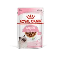 ROYAL CANIN® Kitten In Gravy Wet Food