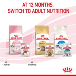 ROYAL CANIN® Kitten In Gravy Wet Food -Pet Life Shop rc9zfbw0xdoawwfipey8