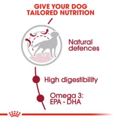 ROYAL CANIN® Medium Adult Dry Dog Food -Pet Life Shop rgzhimjswd1ys8sjz5h7