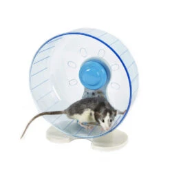 Sky Pet Products Rodent Wheel Small -Pet Life Shop rodent wheels 5 7718 26 7719