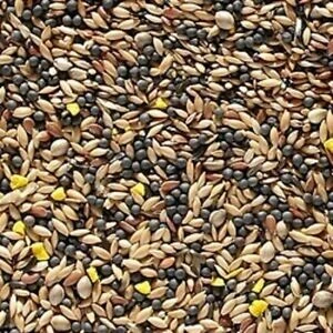 Johnston & Jeff Canary Favourite Mixed Seed 20kg 3 Johnston & Jeff Canary Favourite Mixed Seed 20kg