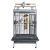 Sky Pet Products Santos Play Antique Bird Cage