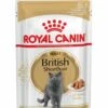 ROYAL CANIN® British Shorthair In Gravy Adult Wet Cat Food -Pet Life Shop v8cnpzoojumnvcvmzlmh