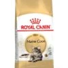 ROYAL CANIN® Maine Coon Adult Dry Cat Food -Pet Life Shop vazqjj8eudnhkucxtfcg