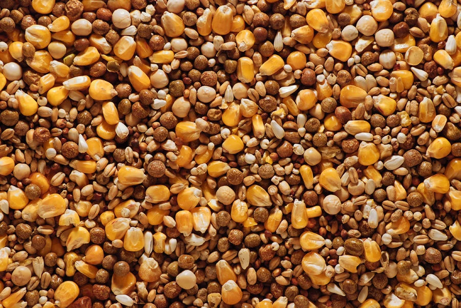 Bucktons Best All Round 20kg 4 Bucktons Best All Round 20kg - Image 2