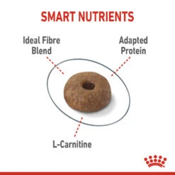 ROYAL CANIN® Light Weight Care Adult Dry Cat Food -Pet Life Shop vxxat8l8ckaqf3e3dwjd