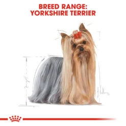 ROYAL CANIN® Yorkshire Terrier Adult Dry Dog Food -Pet Life Shop xaci7bunkyjopmt5rpjf