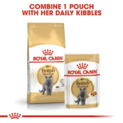 ROYAL CANIN® British Shorthair In Gravy Adult Wet Cat Food -Pet Life Shop xacvcwggdklq9u1votgp