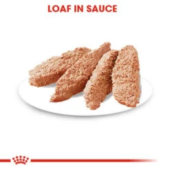 ROYAL CANIN® Urinary Care Wet Pouches Adult Dog Food 14 ROYAL CANIN® Urinary Care Wet Pouches Adult Dog Food -Pet Life Shop xqsbq34i0ek6fps21awi