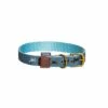 FatFace Marching Dogs Collar